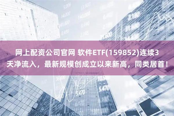 网上配资公司官网 软件ETF(159852)连续3天净流入，最新规模创成立以来新高，同类居首！