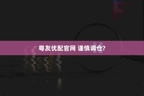 粤友优配官网 谨慎调仓?